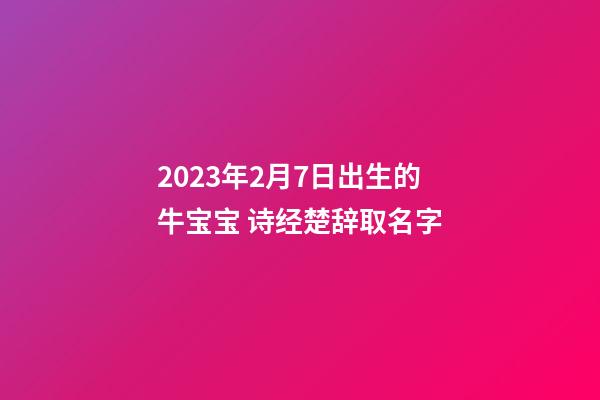 2023年2月7日出生的牛宝宝 诗经楚辞取名字
